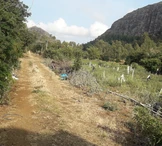 Approx. 1 Arpent residential land for sale in Palma
