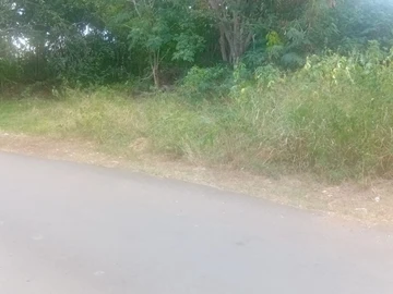 Commercial Land