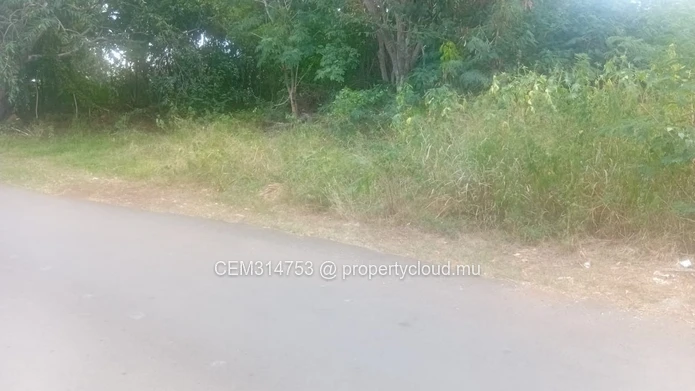 2 Plots for Sale – Royal Road, Coromandel 