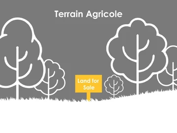 Terrain Agricole