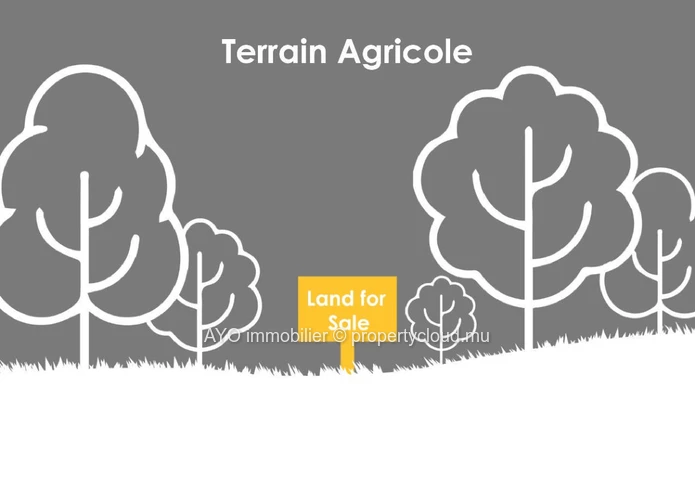 Plot ot agricultural land of 4471m2 in Saint Antoine