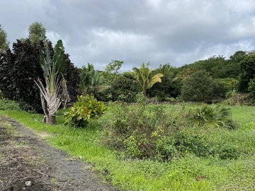 Terrain Agricole