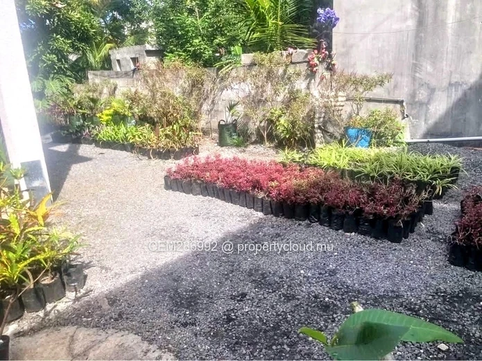 Deux maisons + pépinière à vendre - Quatre Cocos