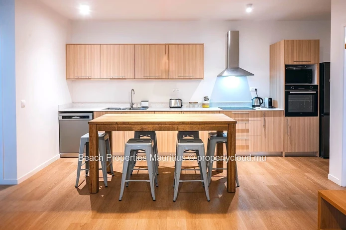 Brand-New Ocean View Apartment for Rent in Cap Tamarin Smart City