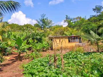 Residential Land