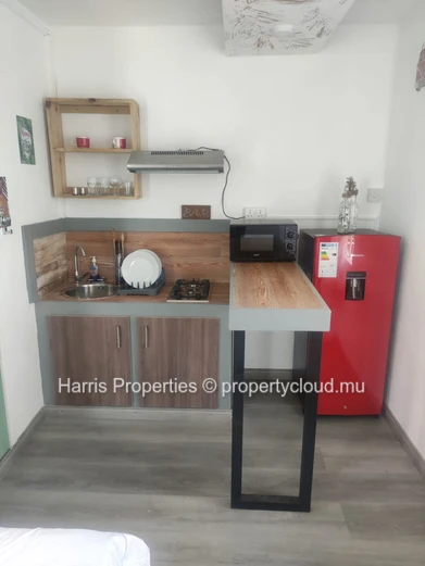 Exceptional Property in Mon Choisy – 3 Modern Buildings with Strong Rental Potential & High-End Features