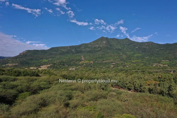 L'élégance absolue de cette incroyable villa de 445m2 au cœur de la nature mauricienne
