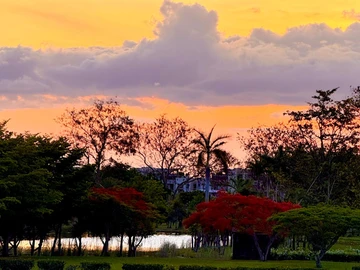 Residential Land