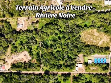 Terrain Agricole