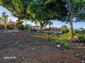 Commercial Land for Sale at Route Royale Mare D'Australia, Pont Praslin