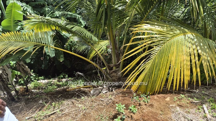  Agricultural Land for sale in Plaine Magnien - Exceptional Views of the Airport
