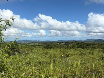Agricultural Land