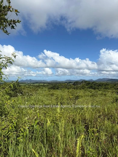 Terrain agricole 3,63 ha à Espérance — Sentier et vue montagne