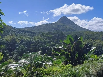 Agricultural Land