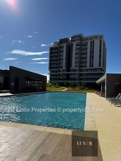 New One-Bedroom Apartment for Rent – Metropole