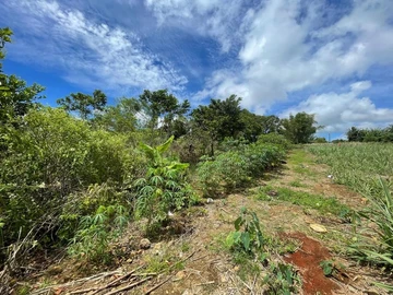 Residential Land