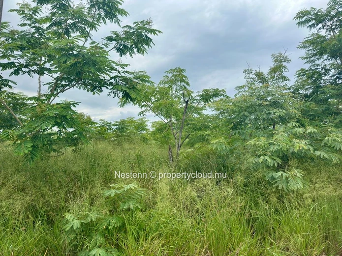 Prime land of 789.32 m² in a residence 