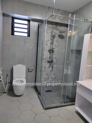 Newly built 4 bedroom house with pool in Pereybere