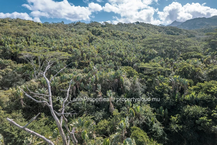 Beautiful Plot Surrounded by Nature next to River