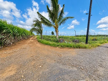 Agricultural Land