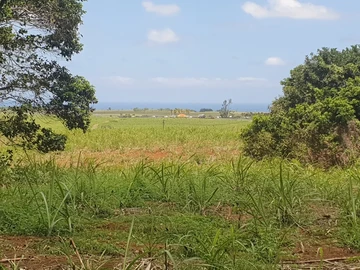 Residential Land