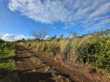 Residential Land