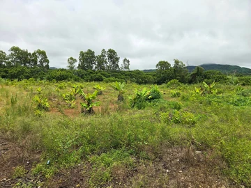 Agricultural Land