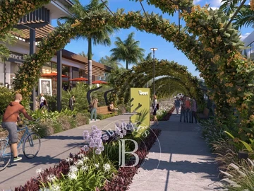Commercial Land