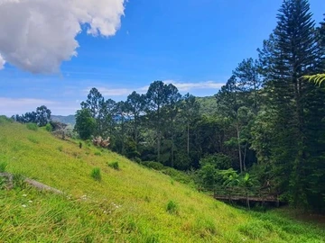 Terrain Commercial