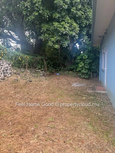  60 Detached house for rent as office space, with ample parking.