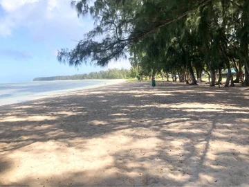 Residential Land