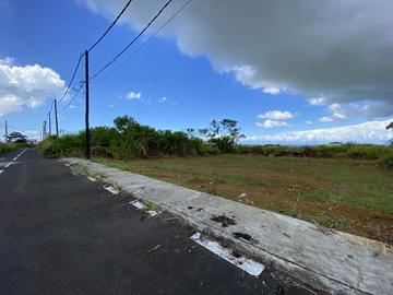 Commercial Land