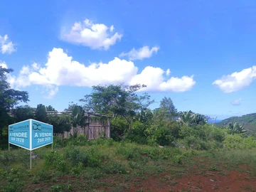 Land