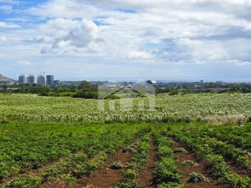 Terrain Agricole
