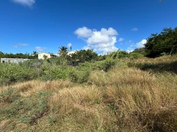 Terrain