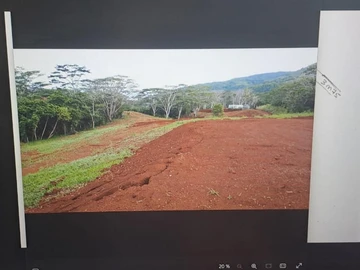 Agricultural Land