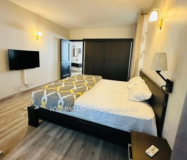 Appartement De Luxe À Louer – Pointe Aux Canonniers