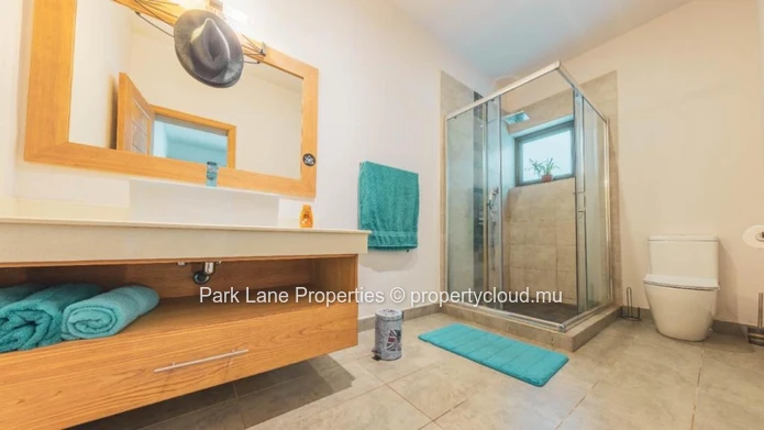 Exquisite furnished modern RES villa in the heart of Tamarin