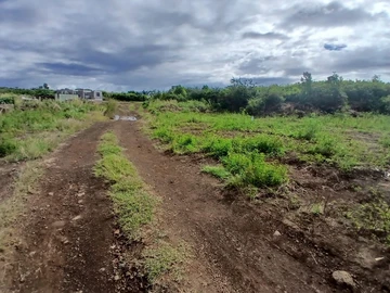 Residential Land