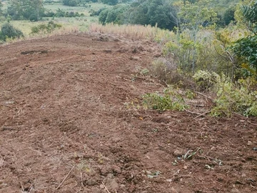 Agricultural Land