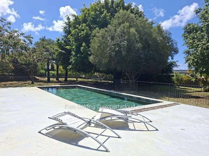 Beautiful Property for Sale on the Edge of Daruty Forest