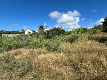Terrain