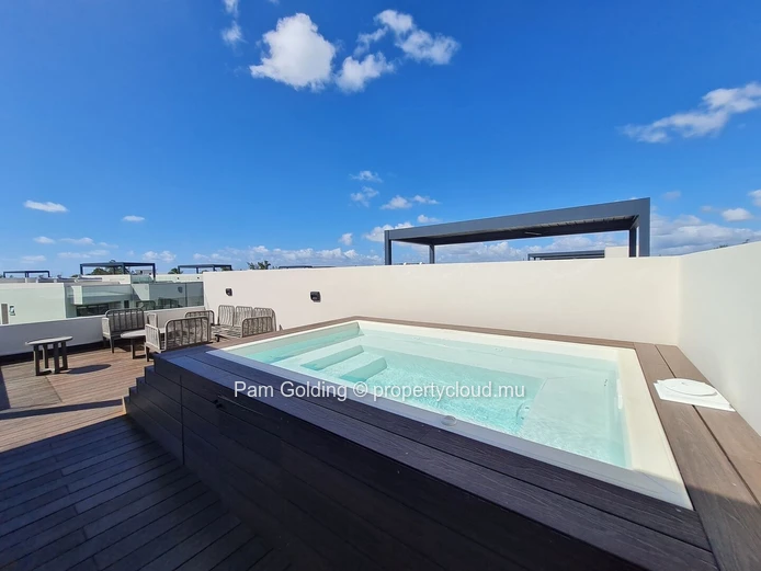 Beautifully Appointed 2-Bedroom Penthouse with Private Rooftop Pool for Sale in Pointe aux Canonniers