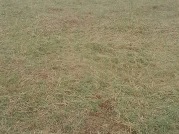 Terrain Résidentiel