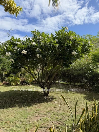 Terrain Résidentiel de Prestige à Vendre à Plantation Marguery, Rivière Noire