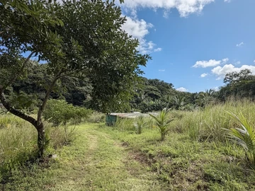 Terrain Agricole