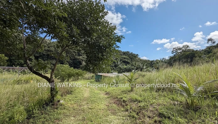 Domaine agricole extraordinaire en bord de rivière | 17 224 m² (1,7 hectare) | Potentiel écotouristique infini