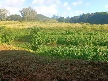 Terrain Agricole