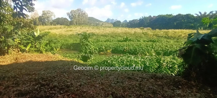 D'Epinay close to Pamplemousse Agricultural freehold plot of land 18572 sqm. River. Lichtis plantation. Water & Elect... (Sole Mandate)