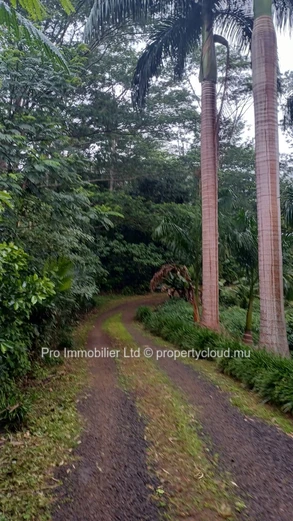 Grand terrain à vendre à Chamarel , 5 563m² avec vue imprenable.